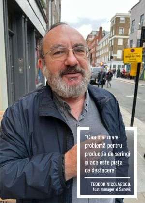 Sanevit Arad - cronica unei tranziţii ratate